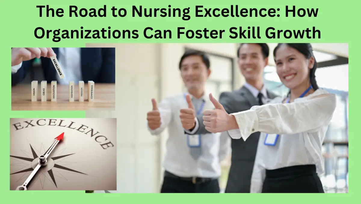 he-Road-to-Nursing-Excellence-How-Organizations-Can-Foster-Skill-Growth
