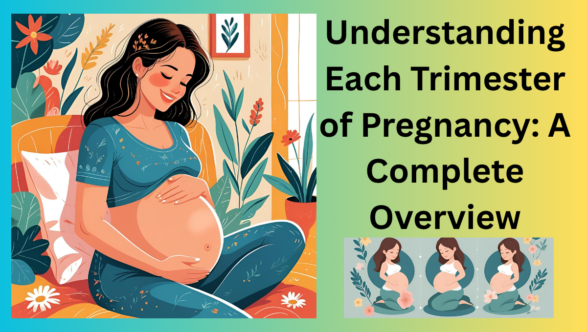 Understanding-Each-Trimester-of-Pregnancy-A-Complete-Overview