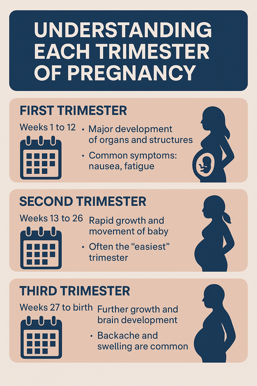 Understanding Each Trimester of Pregnancy: A Overview